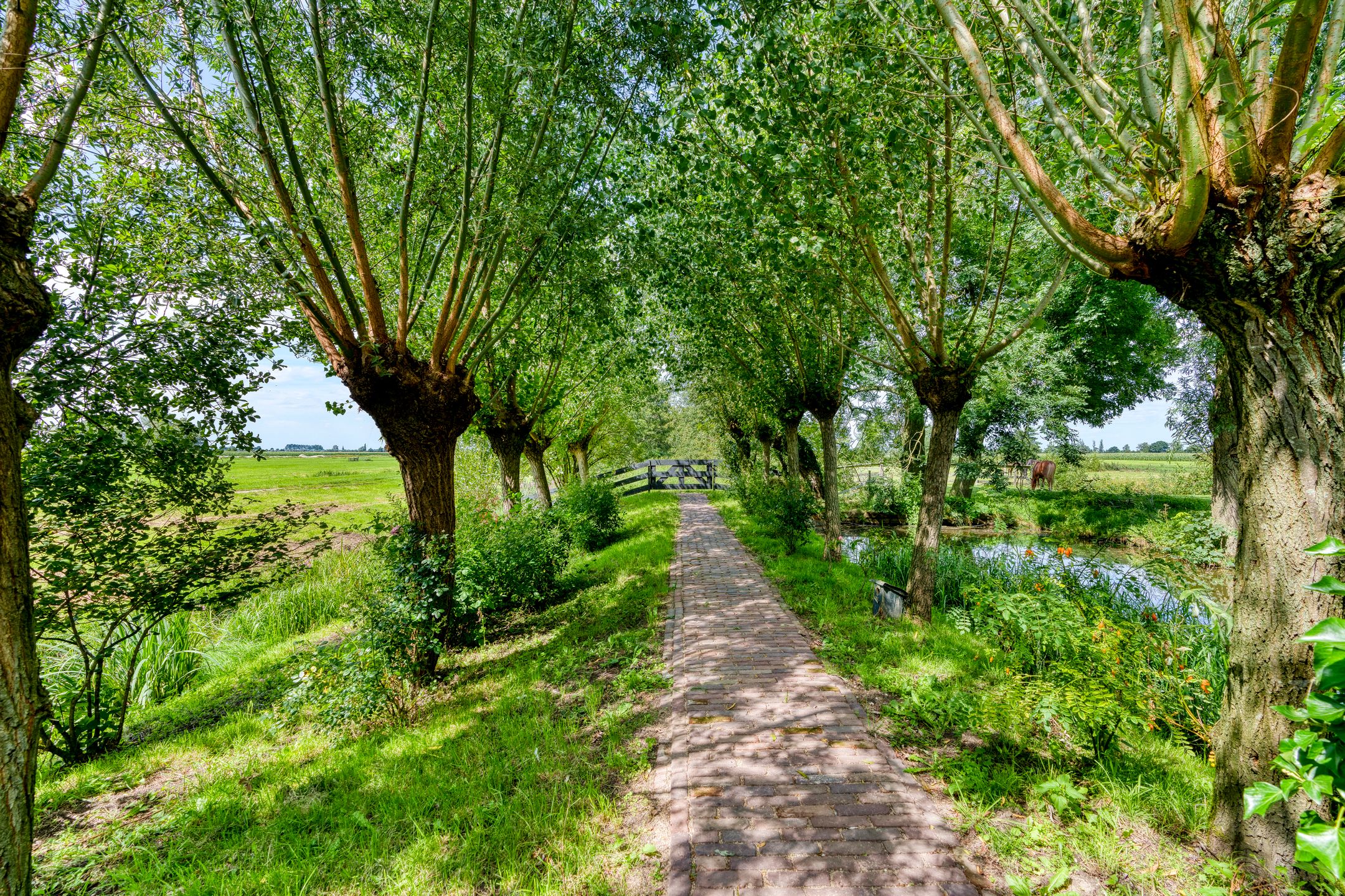 Foto 63 van Houtdijk 14