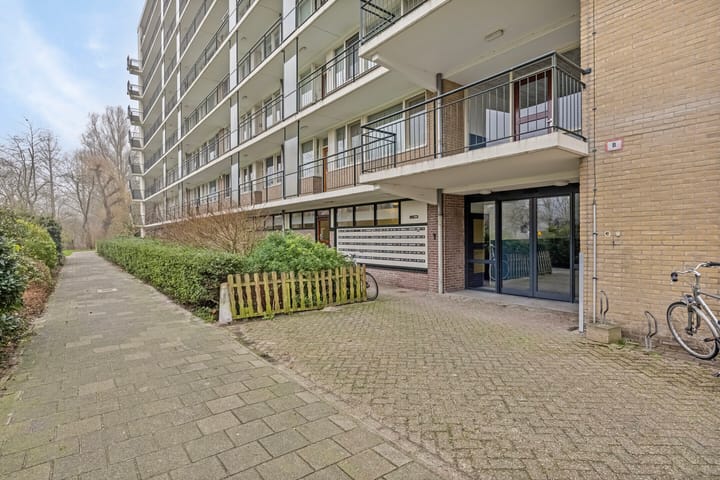 Foto 5 van Apollolaan 602