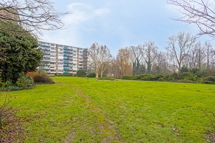 Foto 33 van Apollolaan 602