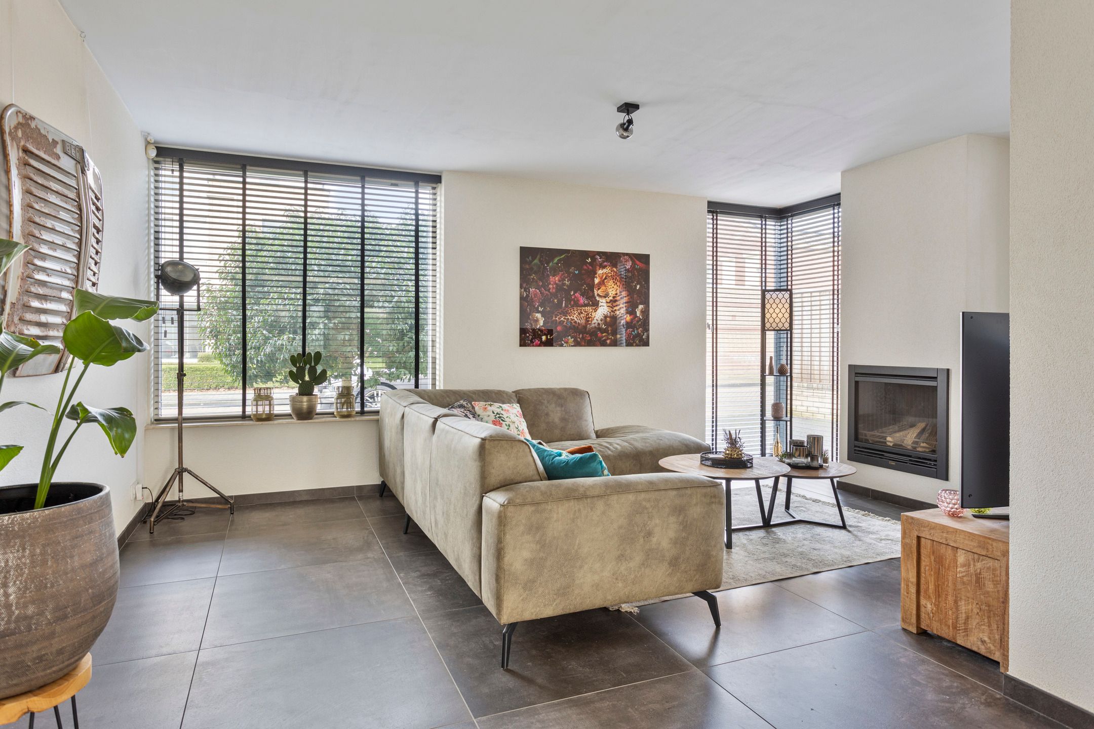 Foto 9 van Muffelke 2