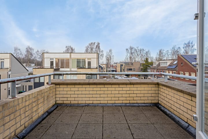 Photo 34 of Muffelke 2