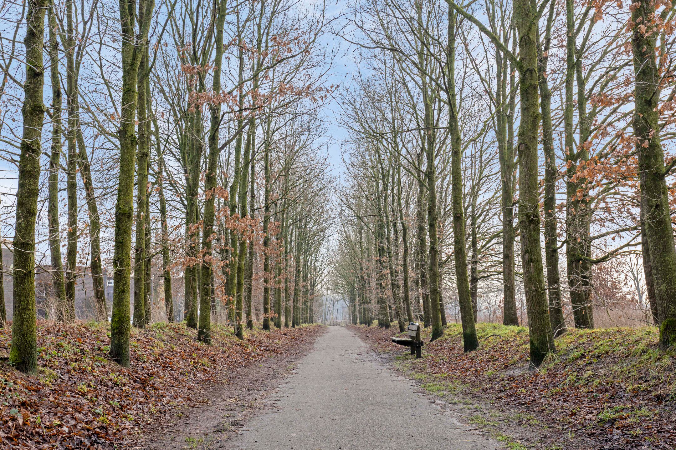 Foto 45 van Muffelke 2