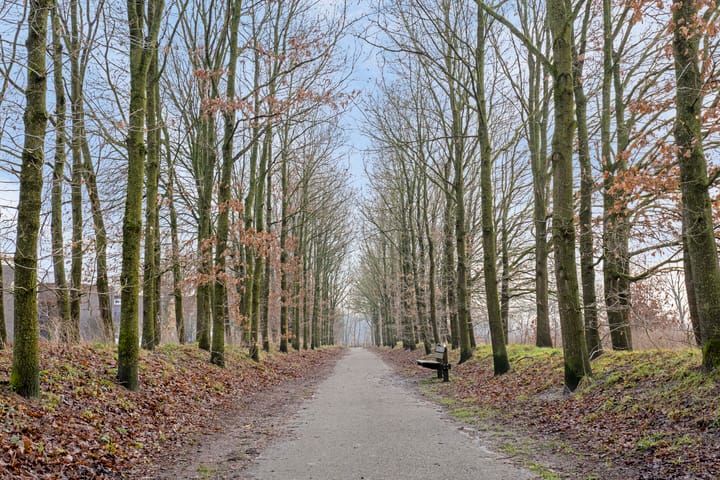 Photo 45 of Muffelke 2