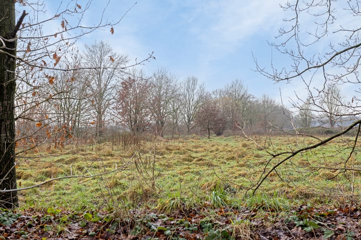 Photo 47 of Muffelke 2