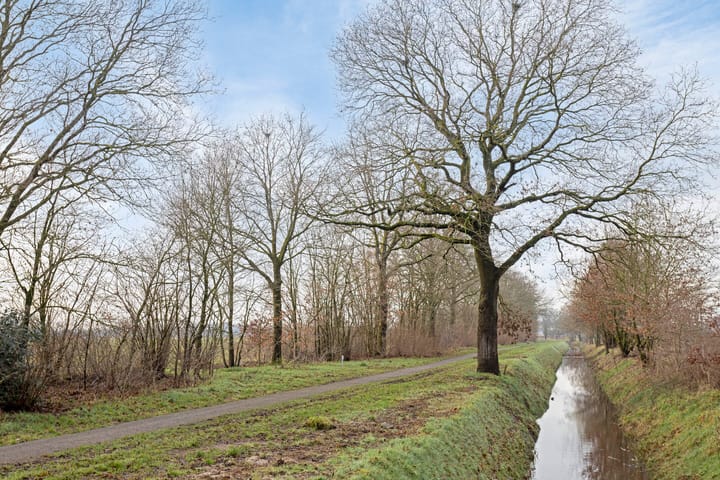 Photo 48 of Muffelke 2