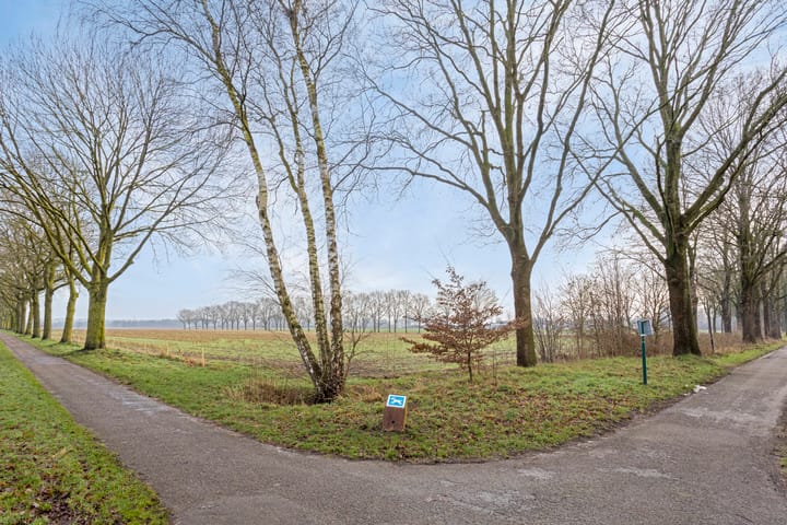 Photo 49 of Muffelke 2