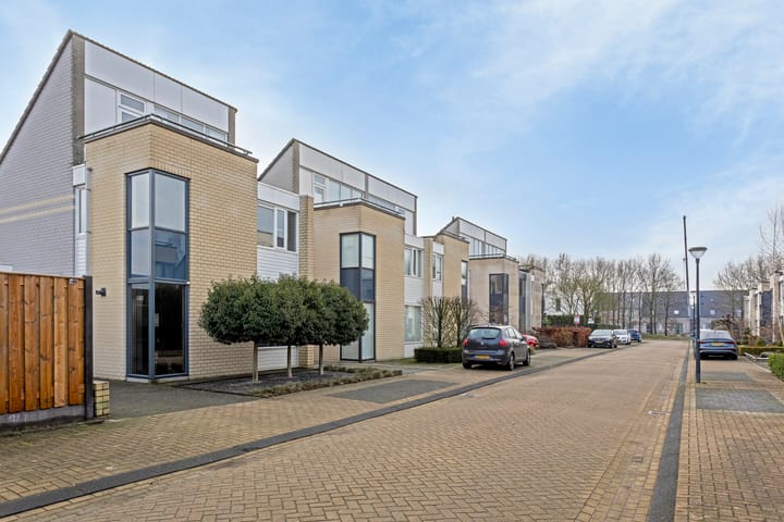 Photo 51 of Muffelke 2