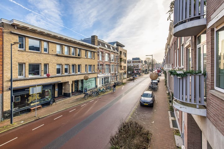 Foto 2 van Maliebaan 53-F