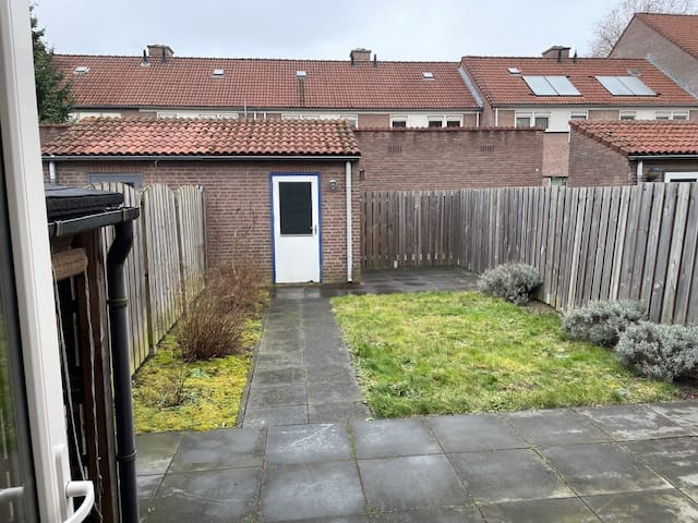 Foto 21 van Insula 74