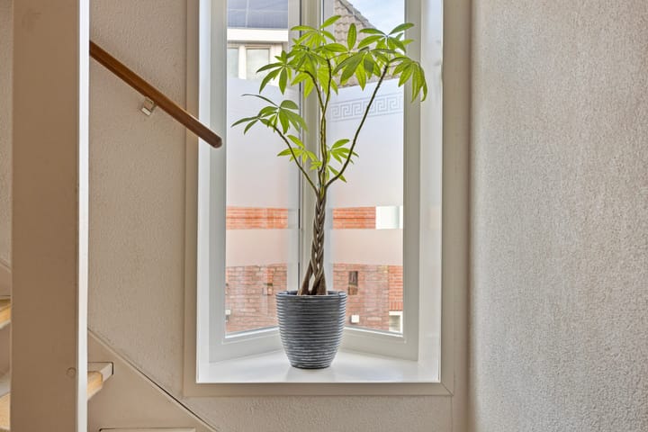 Foto 23 van Boskoop 34