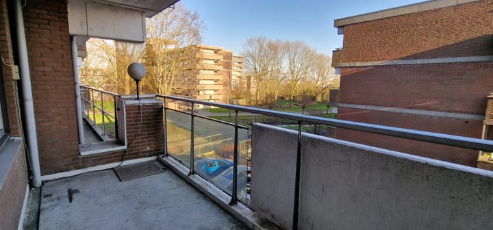 Foto 14 van Poolster 246