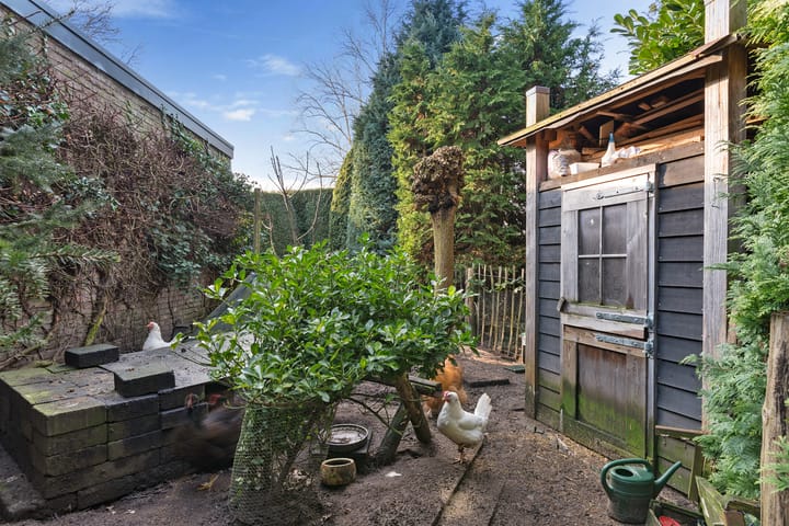 Foto 38 van Meinwerkstraat 5