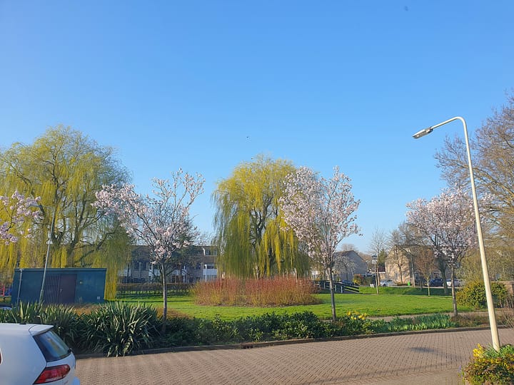 Foto 6 van Sterrenlaan 10