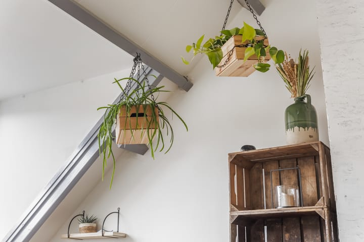 Foto 10 van Jeremias de Deckerstraat 4-B