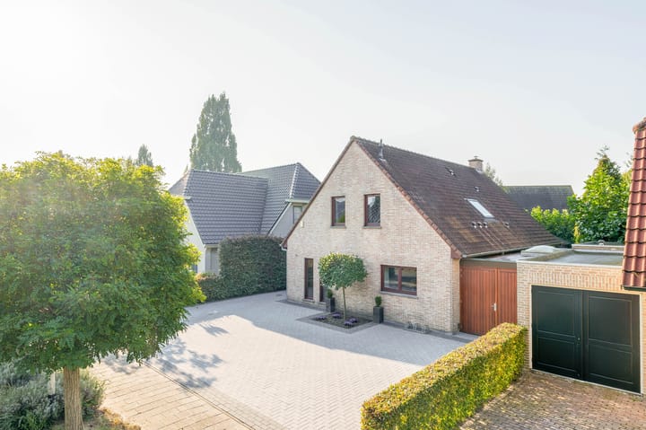 Foto 5 van Leiboom 19