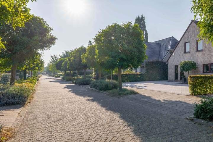 Foto 12 van Leiboom 19