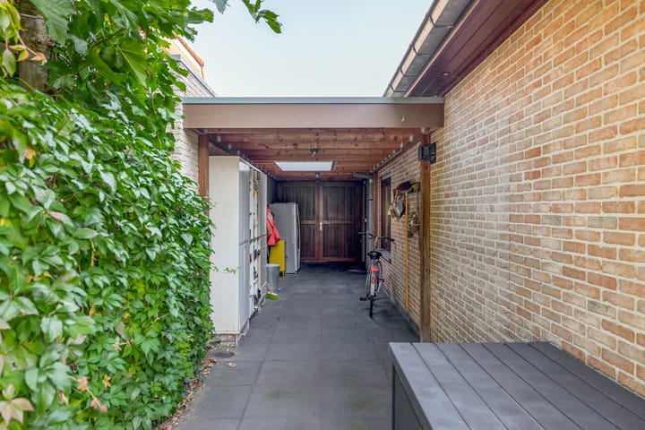 Foto 36 van Leiboom 19