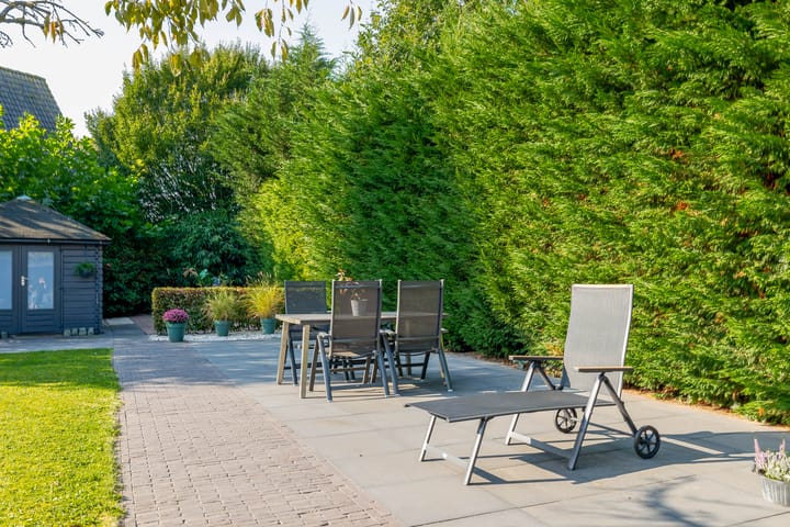 Foto 37 van Leiboom 19