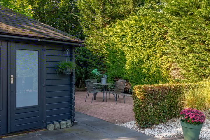 Foto 41 van Leiboom 19