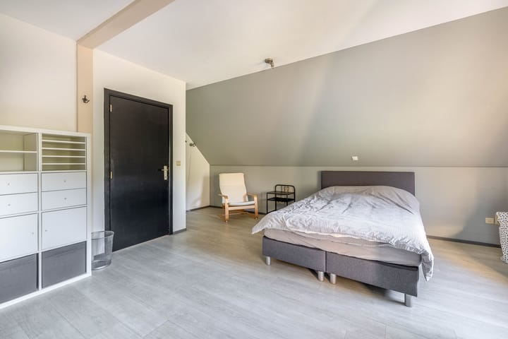 Foto 48 van Leiboom 19