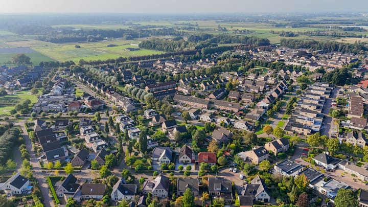 Foto 53 van Leiboom 19