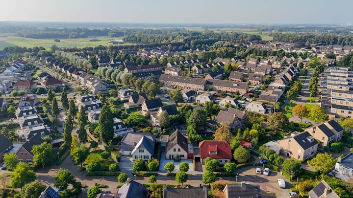 Foto 54 van Leiboom 19