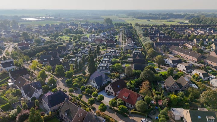 Foto 55 van Leiboom 19