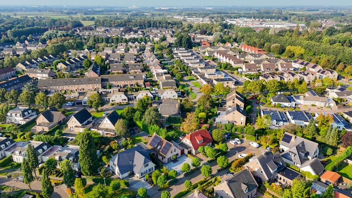 Foto 56 van Leiboom 19