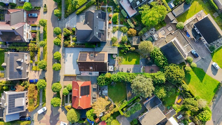 Foto 57 van Leiboom 19