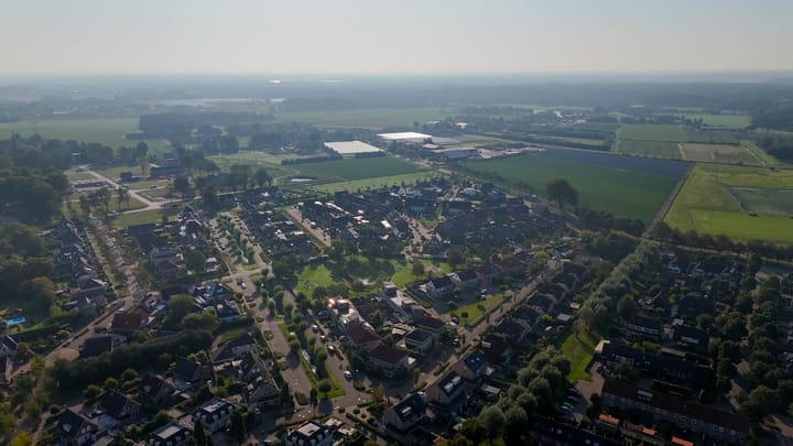 Foto 59 van Leiboom 19