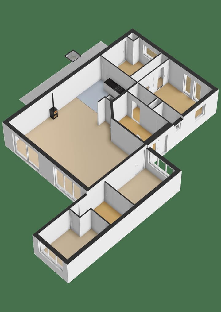 Foto 61 van Leiboom 19
