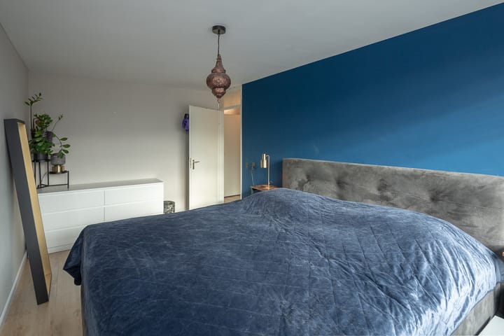 Foto 17 van Dalkruid 17