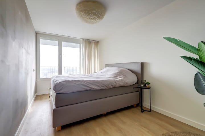 Foto 19 van Palaceplein 243