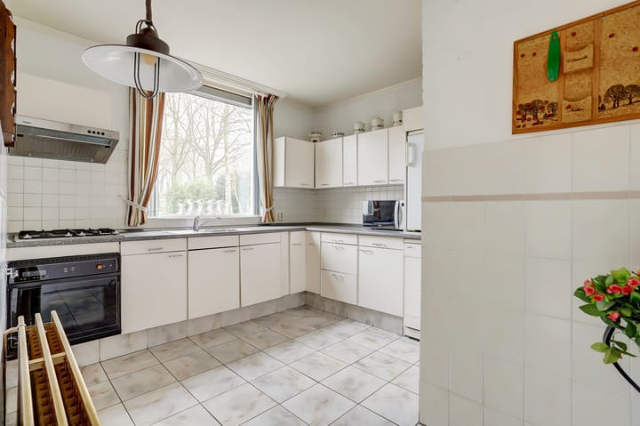 Foto 13 van Hollandse Tuin 11