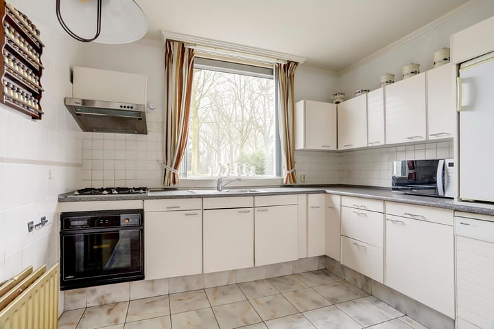 Foto 14 van Hollandse Tuin 11