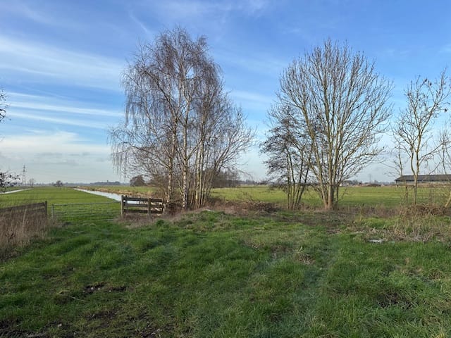 Foto 8 van Achterbroek 37-A