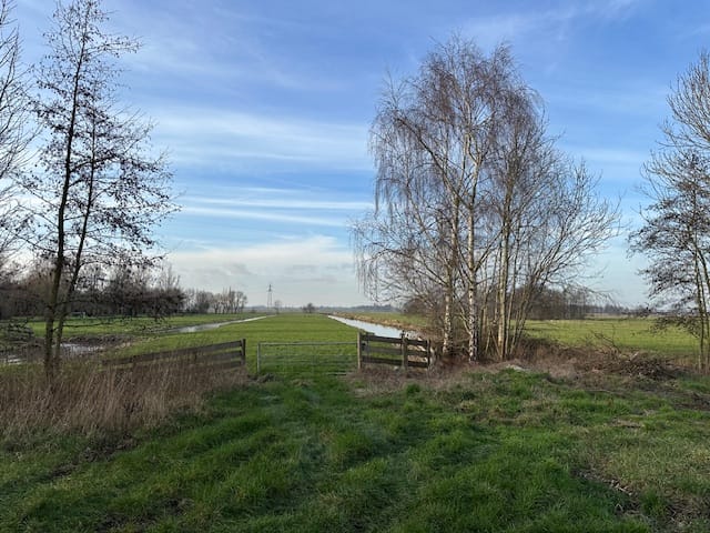 Foto 9 van Achterbroek 37-A