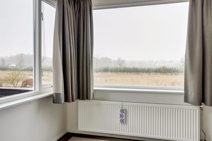 Foto 20 van Hollandse Tuin 11