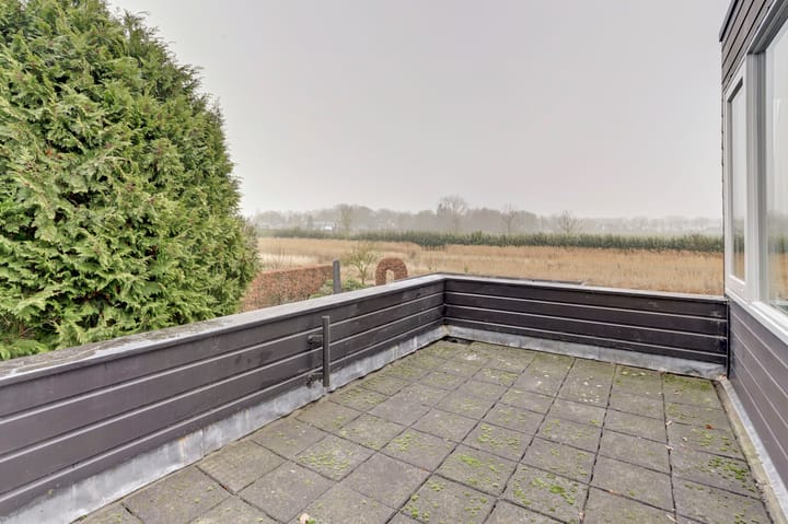 Foto 21 van Hollandse Tuin 11