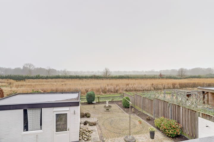 Foto 3 van Hollandse Tuin 11