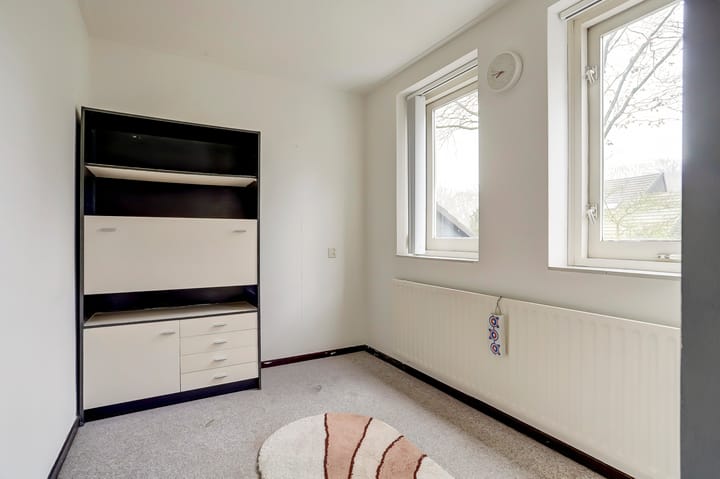 Foto 23 van Hollandse Tuin 11