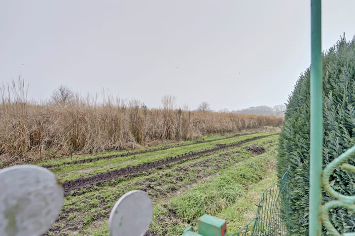 Foto 34 van Hollandse Tuin 11