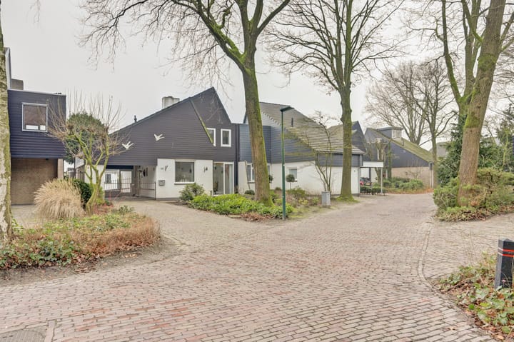 Foto 35 van Hollandse Tuin 11