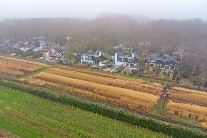 Foto 39 van Hollandse Tuin 11