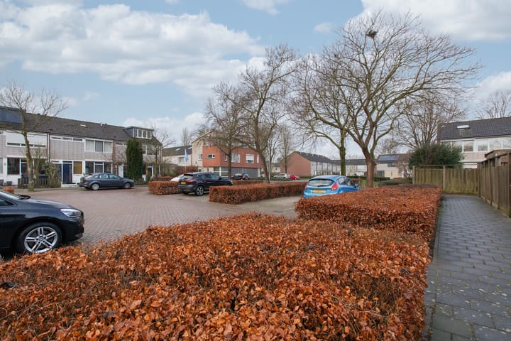 Foto 37 van Botterland 28