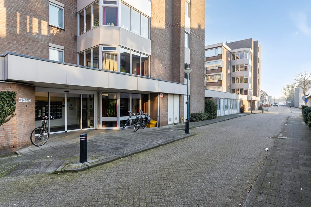 Photo 23 of Zaaier 102