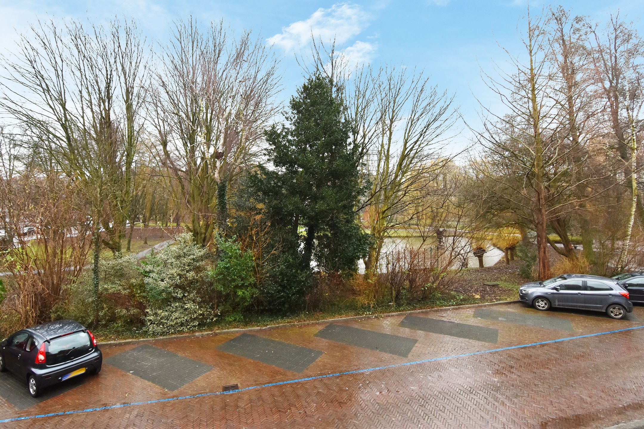 Photo 12 of van Wassenaerstraat 80