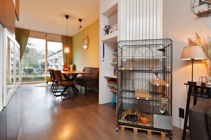 Foto 13 van van Wassenaerstraat 80