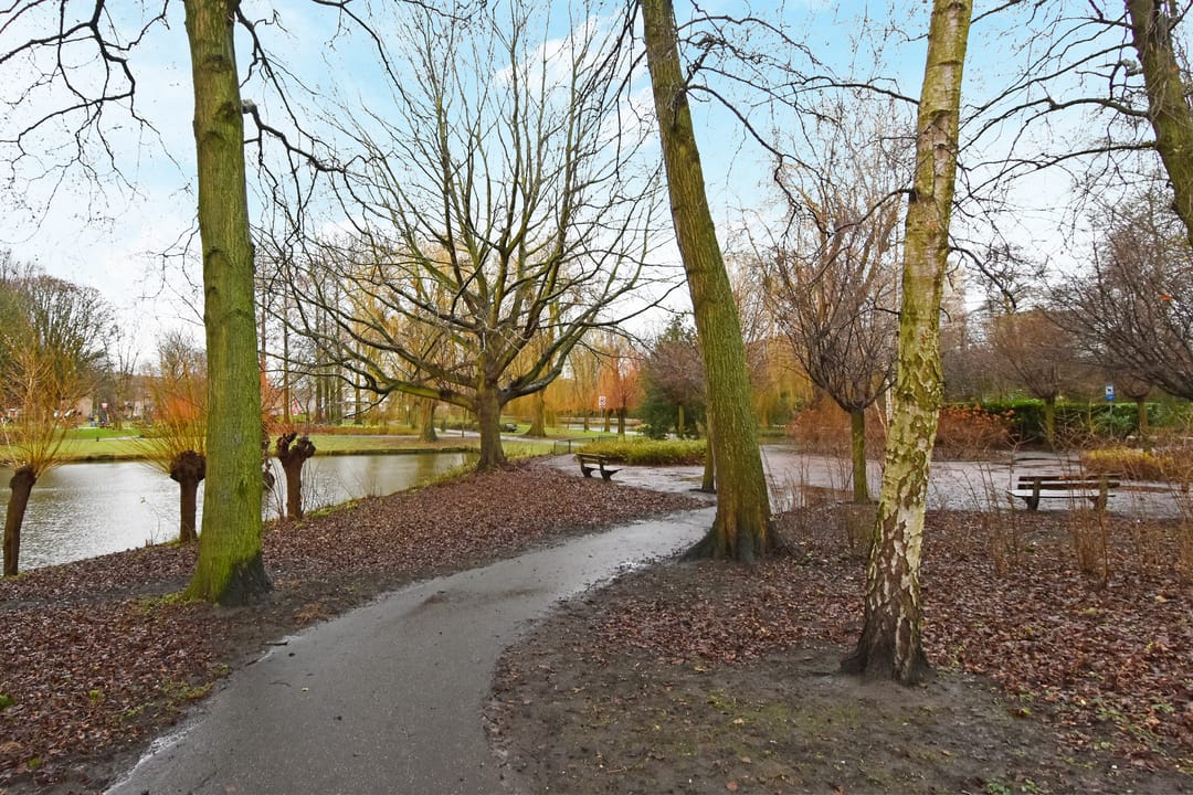 Photo 32 of van Wassenaerstraat 80