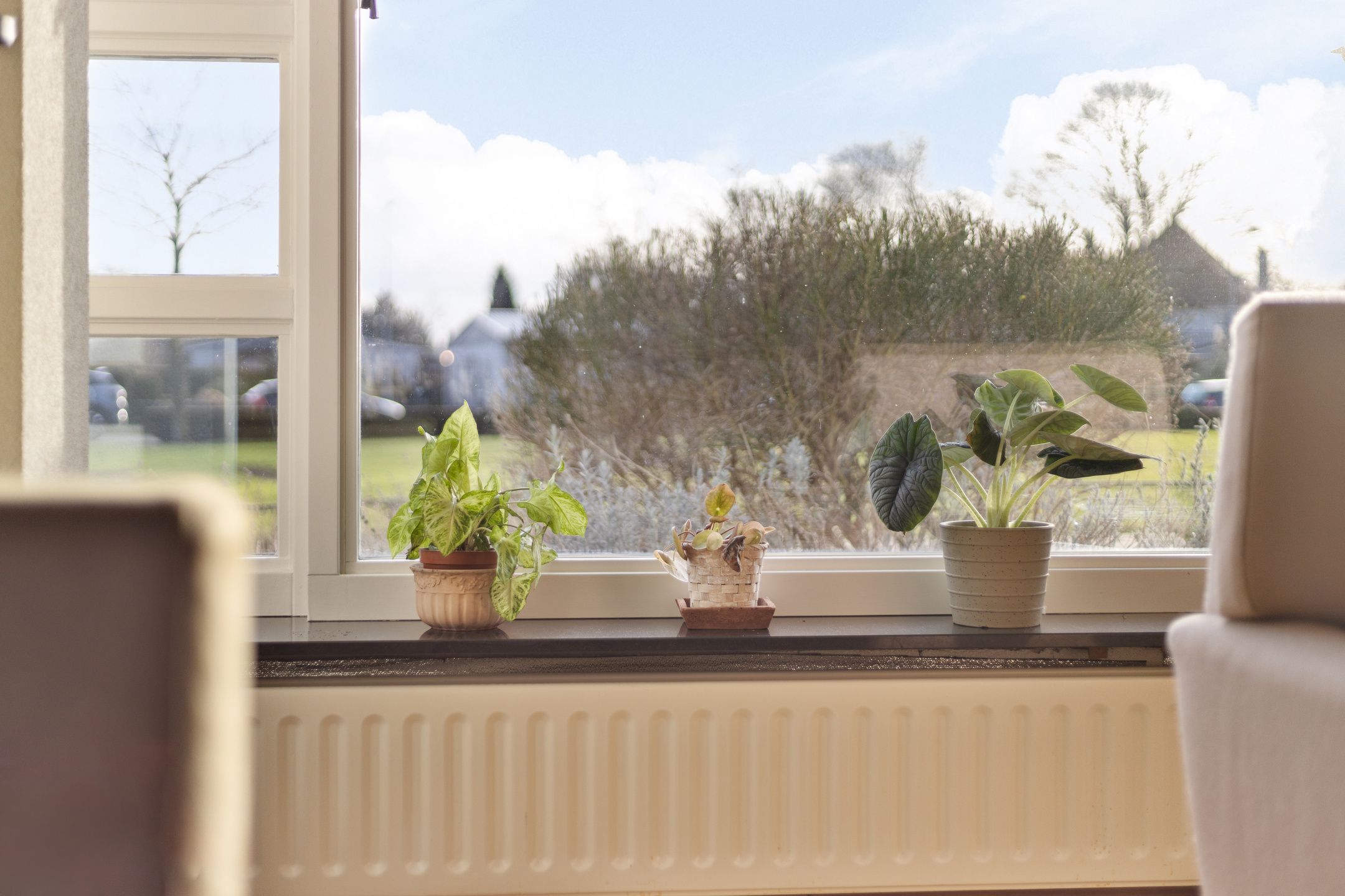 Foto 6 van Dr. van der Steenlaan 24